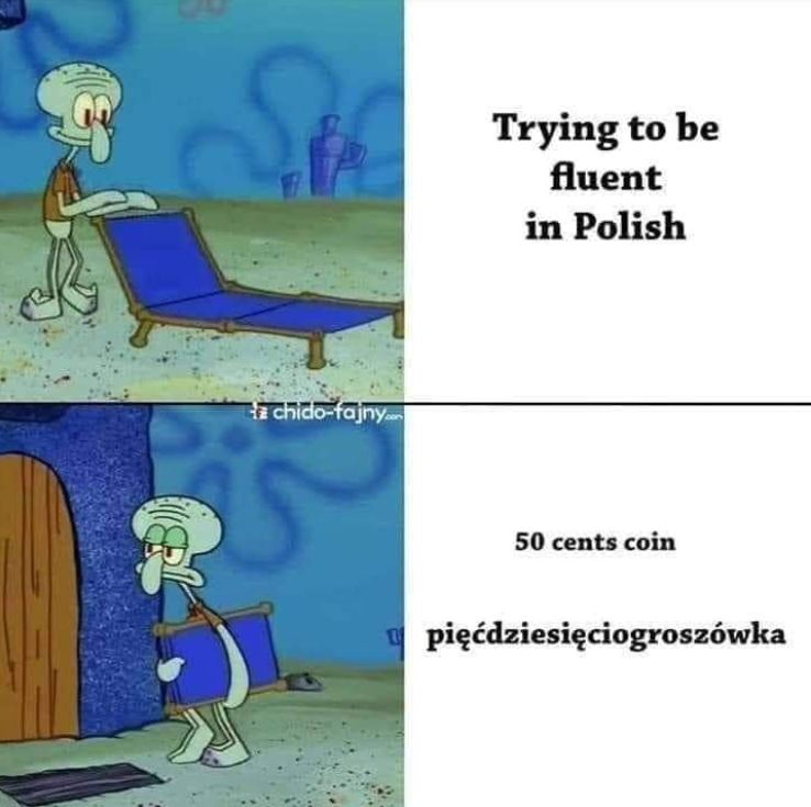język polski.png
